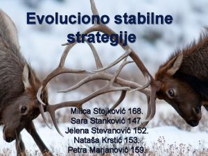 Evoluciono stabilne strategije Milica Stojkovi 168 Sara Stankovi