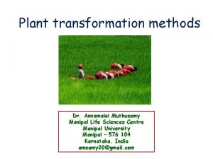 Plant transformation methods Dr Annamalai Muthusamy Manipal Life