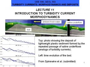 CEE 598 GEOL 593 TURBIDITY CURRENTS MORPHODYNAMICS AND