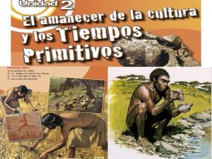 Proceso de hominización esquema