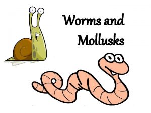 Worms and Mollusks Characteristics of Worms All worms