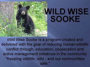 WILD WISE SOOKE Wild Wise Sooke is a WILD WISE SOOKE Wild Wise Sooke is a