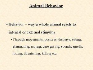 Animal Behavior Behavior way a whole animal reacts