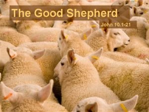 The Good Shepherd John 10 1 21 The