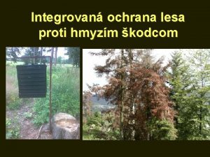 Integrovan ochrana lesa proti hmyzm kodcom Supresia poetnosti