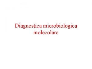 Diagnostica microbiologica molecolare Acidi nucleici Acidi nucleici La
