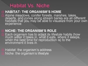 Habitat vs niche