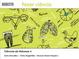 Alimento de planta