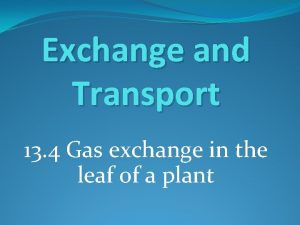 Gas exchange