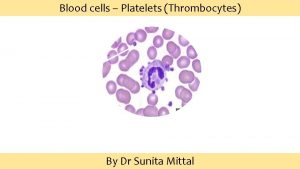 Blood cells Platelets Thrombocytes By Dr Sunita Mittal
