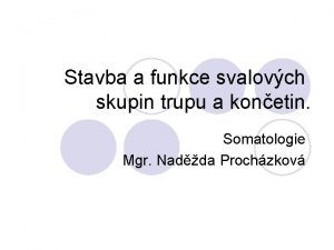 Vnější šikmý sval břišní