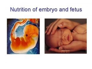 Nutrition of embryo and fetus Sperm Spermatozoon Ovum