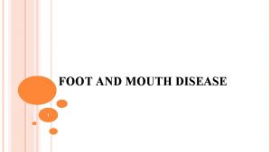 FOOT AND MOUTH DISEASE 1 Definition FMD is