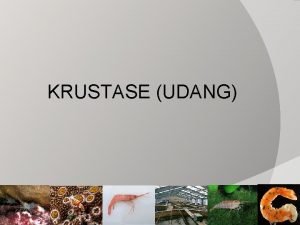 KRUSTASE UDANG Content BIOLOGI EKOLOGI PRODUKSI PENGOLAHAN PEMASARAN