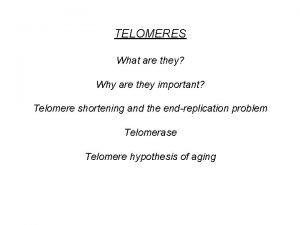 TELOMERES What are they Why are they important