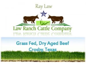 Ray Law Grass Fed Dry Aged Beef Crosby