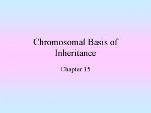 Chromosomal Basis of Inheritance Chapter 15 Objectives Be