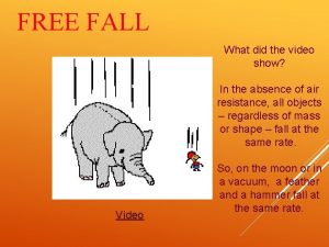 Free fall video