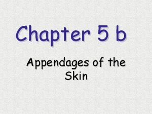 Chapter 5 b Appendages of the Skin Skin