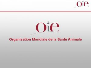 Organisation Mondiale de la Sant Animale Dr JeanLuc