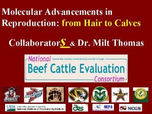 Molecular Advancements in Reproduction from Hair to Calves