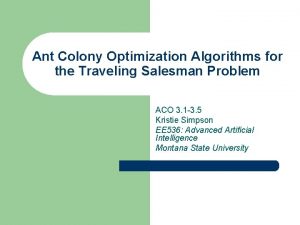 Ant Colony Optimization Algorithms for the Traveling Salesman