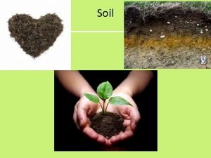 Soil Soil Formation 1 The four major components