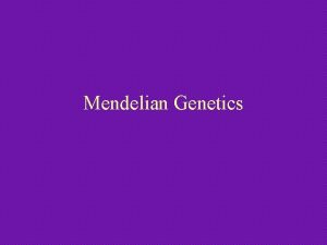 Mendelian Genetics PreMendel Theory Blending theory A permanent