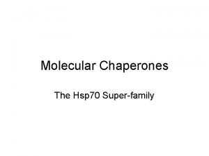 Molecular Chaperones The Hsp 70 Superfamily Pathways For