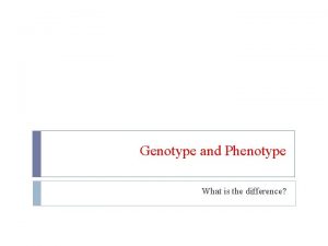 What is the difference between phenotype and genotype