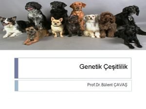 Genetik eitlilik Prof Dr Blent AVA Genlerdeki deikenlik