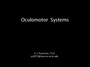Oculomotor Systems S J Potashner Ph D sjp