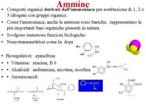 Ammine Composti organici derivati dallammoniaca per sostituzione di