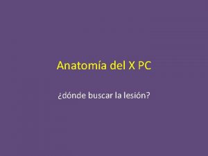 Anatoma del X PC dnde buscar la lesin