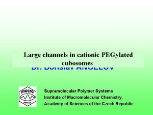 Large channels in cationic PEGylated cubosomes Dr Borislav