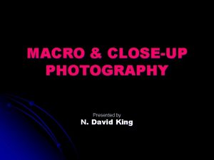 MACRO CLOSEUP PHOTOGRAPHY Presented by N David King