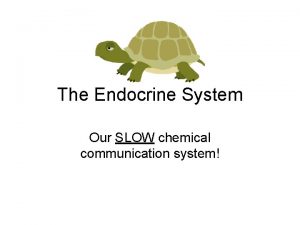 Slow chemical communication system Slow chemical communication system
