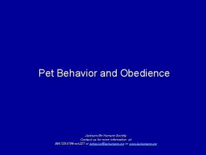 Pet Behavior and Obedience Jacksonville Humane Society Contact