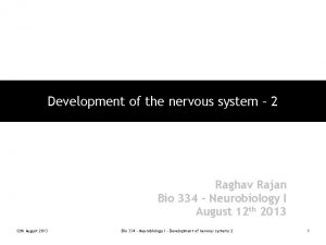 Development of the nervous system 2 Raghav Rajan