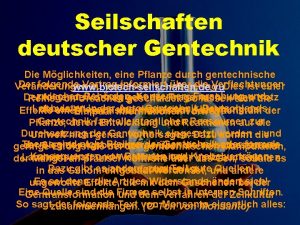 Seilschaften deutscher Gentechnik Die Mglichkeiten eine Pflanze durch