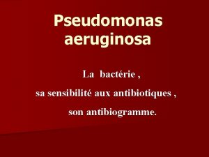 Pseudomonas aeruginosa La bactrie sa sensibilit aux antibiotiques