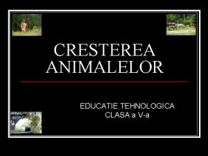 CRESTEREA ANIMALELOR EDUCATIE TEHNOLOGICA CLASA a Va Generaliti