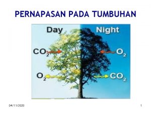 PERNAPASAN PADA TUMBUHAN 04112020 1 Tujuan Mahasiswa akan