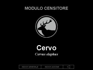 MODULO CENSITORE Cervo Cervus elaphus INDICE GENERALE INDICE