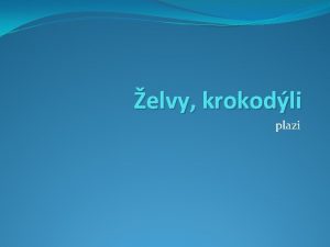 elvy krokodli plazi Nzev koly Z a M