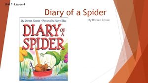 Diary of a spider activities
