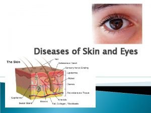 Diseases of Skin and Eyes Anatomy of Skin