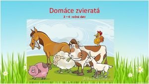 Domce zvierat 2 4 ron deti Sliepoka a