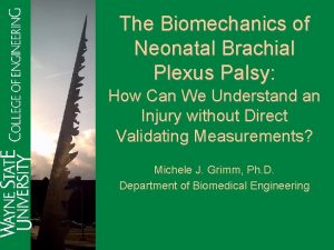 The Biomechanics of Neonatal Brachial Plexus Palsy How