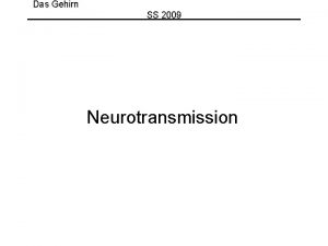 Das Gehirn SS 2009 Neurotransmission Neurotransmission Elektrische Chemische